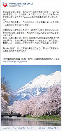 JAPAN AIRLINE(JAL)
