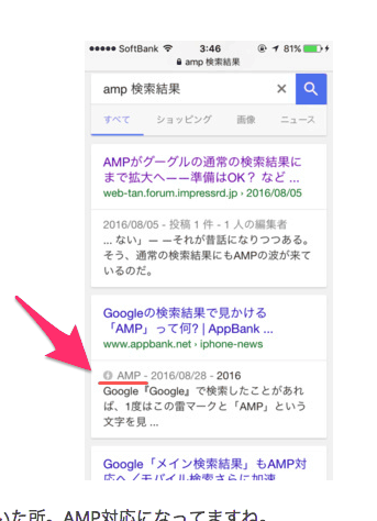 本番環境でのAMPサポート検索