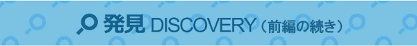発見（続き）