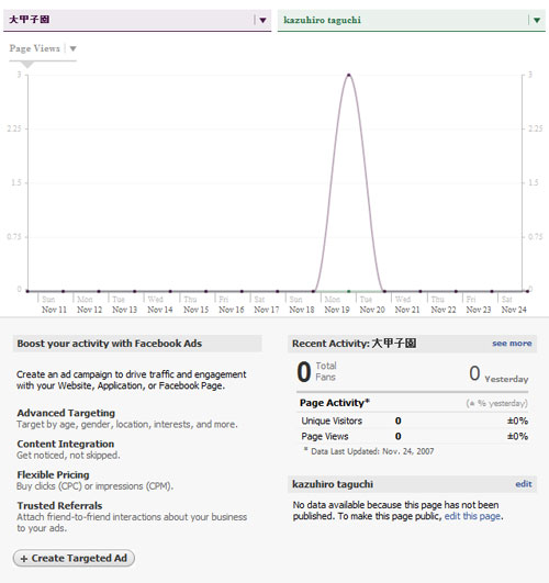 図11 Facebook Insightsを利用して管理するFacebook Pagesの統計を表示したところ