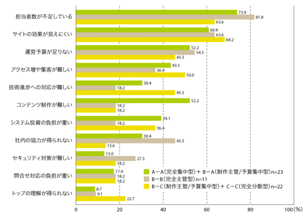 図10　9.1.5　制作/予算管理体制とホームページ運営の課題