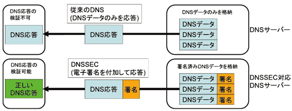 図3　偽情報によるキャッシュ応答