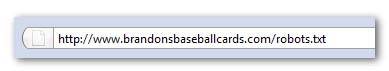 野球カードサイトの robots.txt ファイルのアドレス