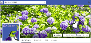 黄桜公式Facebookページ