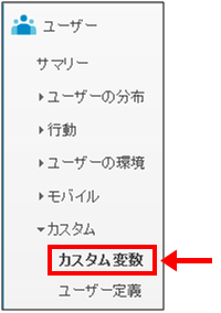 図1：［ユーザー］＞［カスタム］＞［カスタム変数］メニュー