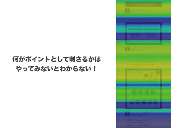 あえて複数のポイントを掲載する