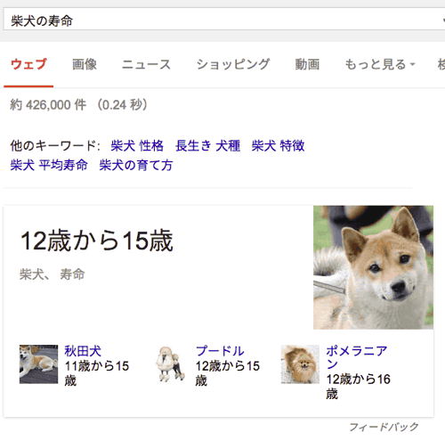 柴犬の寿命のアンサーボックス