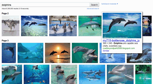 dolphinの画像検索結果