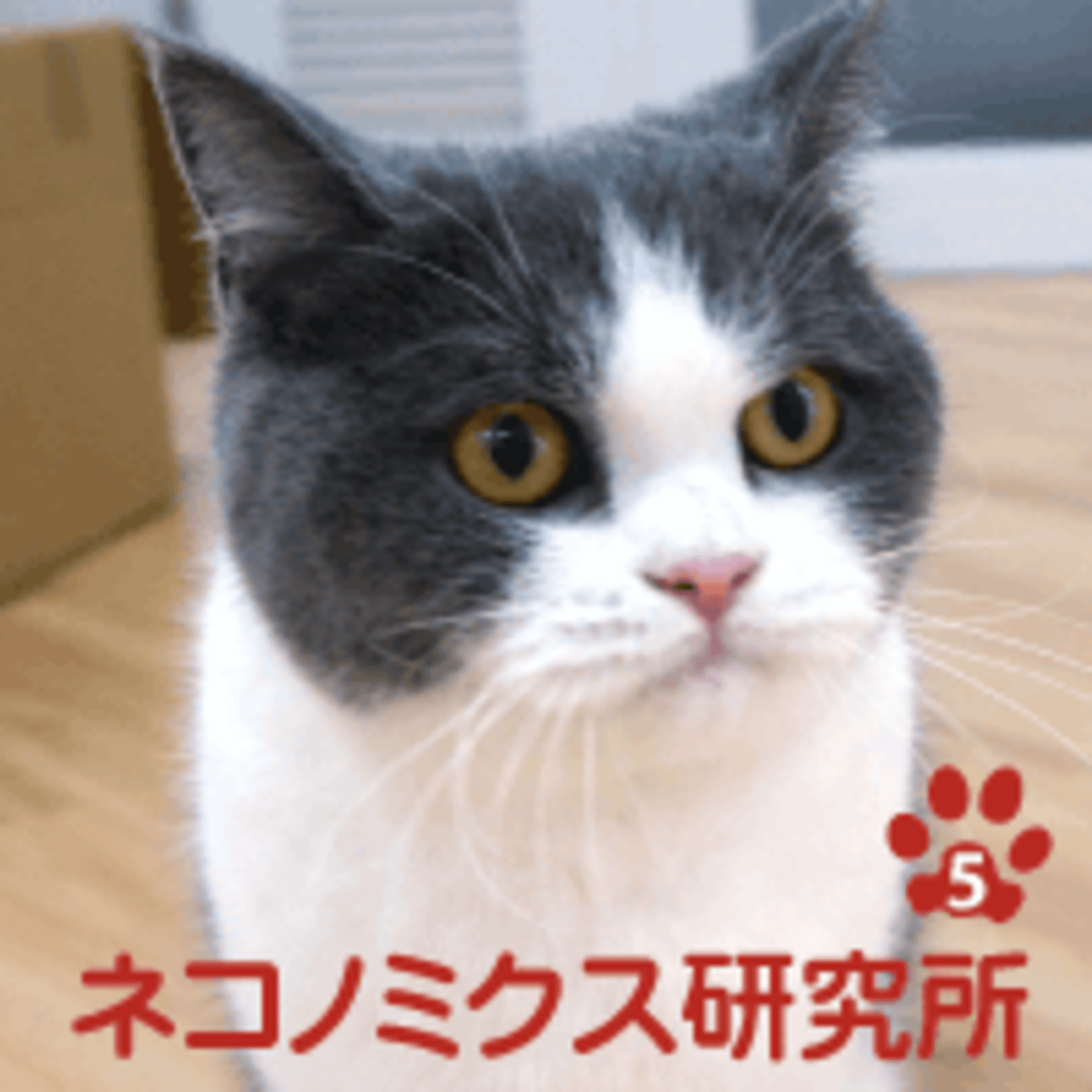 ニャに 猫が活躍する職場がある 社員猫 まる美 がもたらすもの ネットショップ担当者フォーラム 特選記事 Web担当者forum