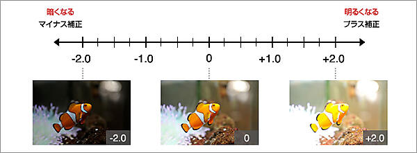 プラス補正とマイナス補正について