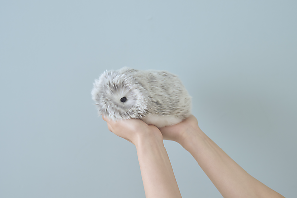 思わず触れたくなる！ カシオのAIペット「モフリン」ヒットの鍵は