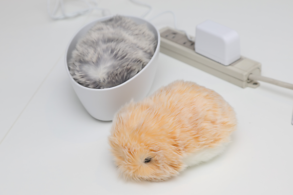 思わず触れたくなる！ カシオのAIペット「モフリン」ヒットの鍵は