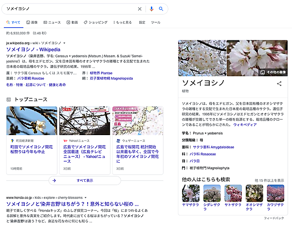 ソメイヨシノのPC検索結果