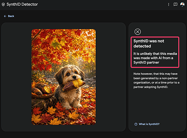 SynthID was not detected