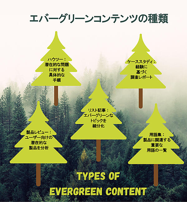 
エバーグリーンコンテンツの種類
ハウツー：潜在的な問題に対する具体的な手順
ケーススタディ：経験に基づく調査レポート
リスト記事：エバーグリーンなトピックを細分化
製品レビュー：ユーザー向けの潜在的な製品を分析
用語集：製品に関連する重要な用語の一覧
