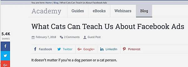 スクリーンショット：「Facebook広告について猫が教えてくれること」というタイトルのブログ記事