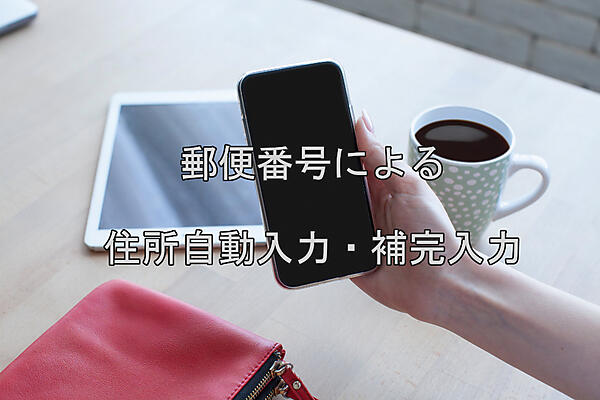 address-auto-input.jpg