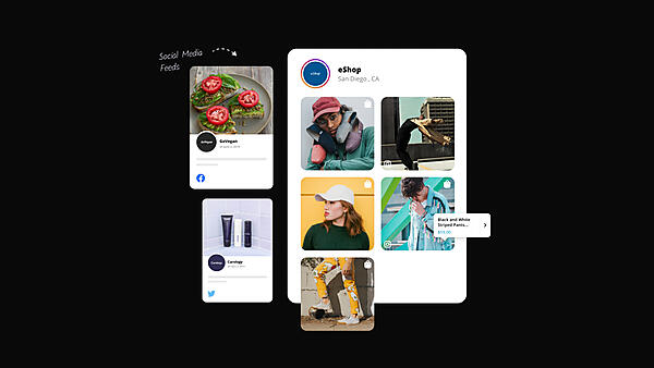 embedsocial-social-hub