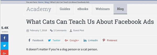 スクリーンショット：「Facebook広告について猫が教えてくれること」というタイトルのブログ記事