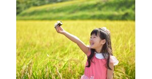 Youtube 動画広告 活用セミナー Web担当者forum Youtube 動画広告 活用セミナー Web担当者forum