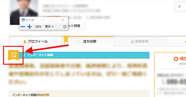 画面キャプチャ:弁護士詳細ページ(通常画面)